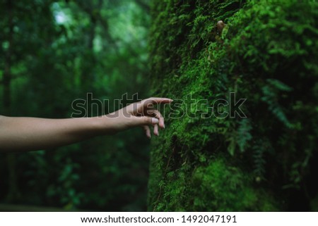 The woman's hand is about to touch on tree with moss and blurred background.