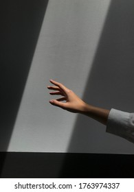 A woman's hand against a gray wall is reaching for the rays of light that fall in the center of the photograph. Shadows draw clear lines on the sides of the picture. Art picture of a woman’s hand.