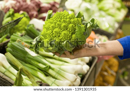 Similar – Image, Stock Photo Artichokes in a market