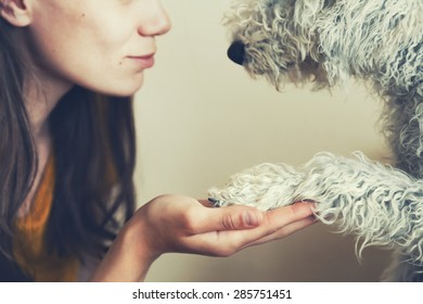 Woman's Hand And Dog's Paw