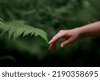 nature hand