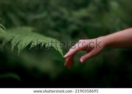 A woman's hand and a fern leaf. Man and nature Foto stock © 