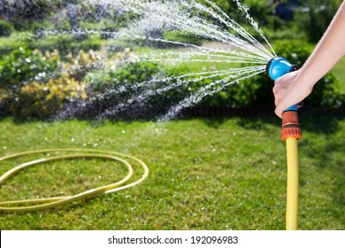 Woman's Hand With Garden Hose Watering Plants, Gardening Concept