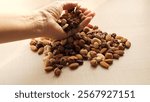 Womans hand gently picking nutritious mix of nuts from table Healthy mix includes almonds walnuts pistachios and hazelnuts Perfect for energy boost healthy snack fitness diet or plant based lifestyle