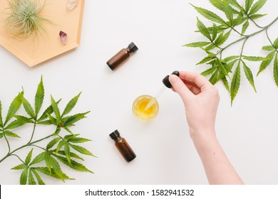 Woman's Hand, Glass Bottles With CBD Oil, THC Tincture And Hemp Leaves On A White Background. Flat Lay, Minimalism. Cosmetics CBD Oil.