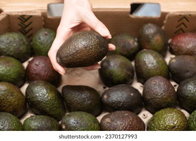 woman's hand holding an avocado - Shutterstock ID 2370127993