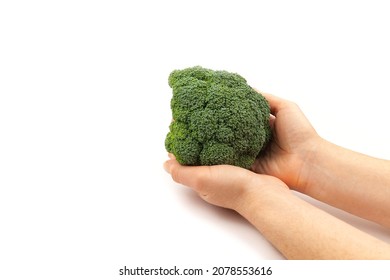 Woman's Hand Holding Brocoli On White Background. Vegetarianism. Healthy Eating