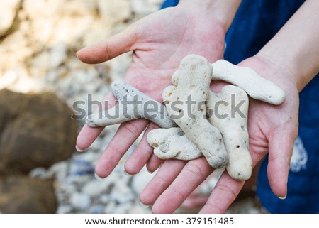 Woman's hand holding dead coral , Save the coral reefs Save sea concept