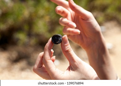 Woman's Hand Holding A Fragment Of A Rubber Bullet.