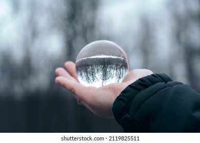 Woman's Hand Holding A Glass Ball In The Forest