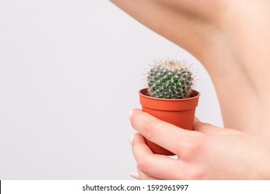 Woman's hand holding green cactus near her armpit, concept of depilation, sugaring, epilation and removal hair, copy space.