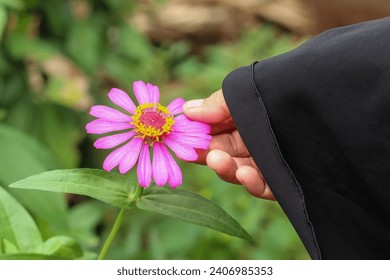 a woman's hand holding a pink zinnia flower in the garden - Powered by Shutterstock