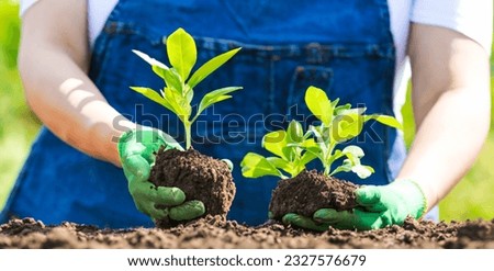 Woman's hand holding a plant growing from the soil. Green seedling growing from soil outdoors. close up view. Stock fotó © 