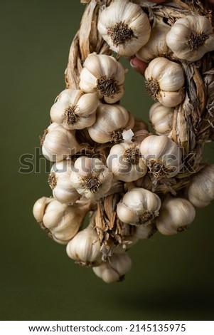 A woman's hand holds a fragrant garlic wreath lies on an olive background. Agriculture and farming