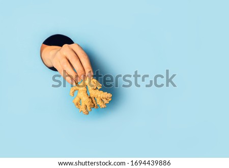Woman's hand holds ginger through hole in blue paper