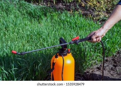 The woman's hand holds the handle of an orange sprayer, from which jets of an chemical solution gush against the background of a green bed. The concept of marriage level of cheap garden equipment.