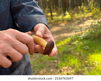 A woman's hand holds a knife and cleans boletus while picking mushrooms in the forest - Powered by Shutterstock