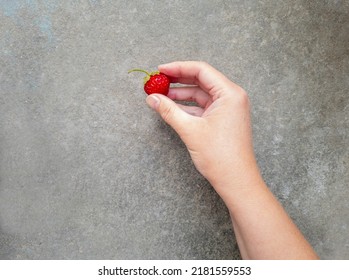A woman's hand holds a ripe strawberry fruit against a gray concrete wall. - Shutterstock ID 2181559553