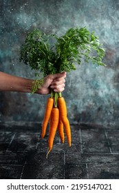 A Woman's Hand Holds A Young Carrot With Tops On A Dark Background With Water Splashes.