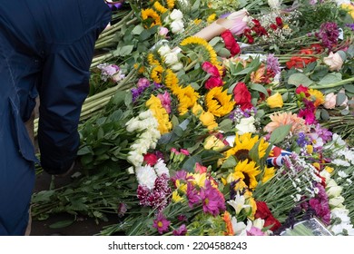 A Woman's Hand Lays Flowers At The Gates Of Windsor Castle In Tribute To Queen Elizabeth II After Her Death On September 8, 2022. Focus On The Yellow Flowers