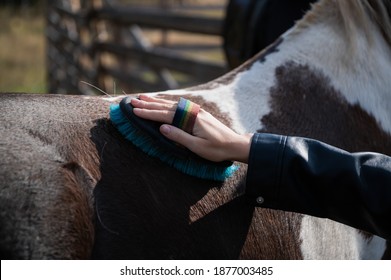 A Woman's Hand In A Leather Jacket Lies On The Horse's Side And Holds A Special Brush For Cleaning.