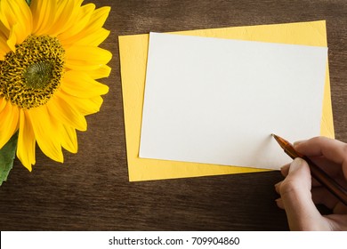 Woman's hand with pen writing on the white blank greeting card on the table. Big, beautiful yellow sunflower. Positive emotions. Empty place for a text. Top view.