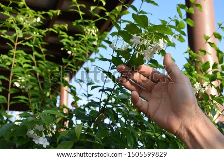 Similar – rotten fruit Colour photo