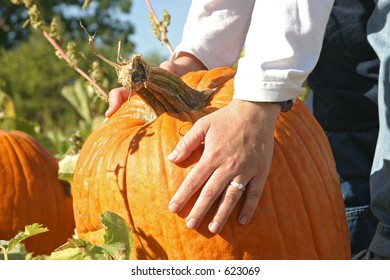 A Woman's Hand Picking A Pumpkin