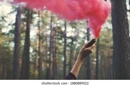 Woman's Hand With Red Smoke Grenade In Forest