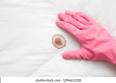 Woman's Hand In Rubber Protective Glove Showing On Mattress Blood Stain After Night Menstruation. Fresh Or Old Stains Cleaning From White Sheet Of Bed. Closeup.