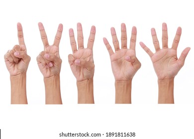 Woman's Hand Show One, Two, Three, Foe, Five Fingers Up On White Background.