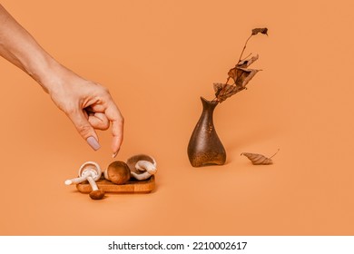 A Woman's Hand Takes Ocher Mushrooms From A Wooden Plate. An Unusual Autumn Concept On A Cocha Mocha Background. Asymmetric Brown Vase And Dried Branch With Leaves.Scandinavian Style, Warm Fall Tones.