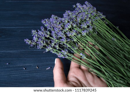 Woman's hand touching lavender flowers.