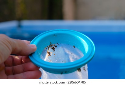 Woman's Hand With A Vacuum Cleaner Filter On The Pool Background. Home Pool Cleaning.