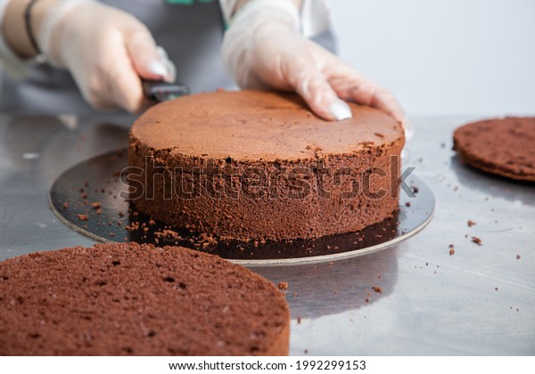 Womans hands\
chef cutting chocolate cake layers and stacking them on metal\
table. Making Chocolate Layer Cake.\
Series.