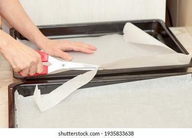 Woman's Hands Cutting Baking Paper, Detail