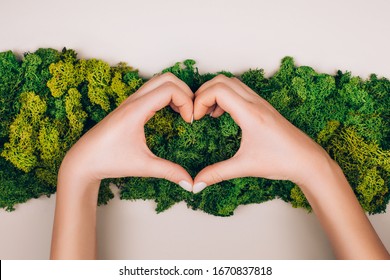 Woman's Hands With A Heart On A Moos Background. Zero Waste, Mercy Concept. Flat Lay Style.