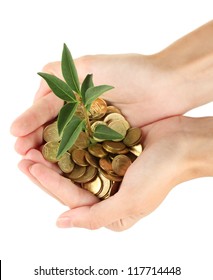 Woman's Hands Are Holding A Money Tree On White Background Close-up