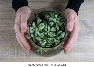 Woman's hands holding a terrarium of plants - Powered by Shutterstock