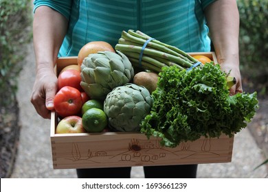 Woman's hands holding wooden crate with fresh organic vegetables from farm. Farm share CSA box