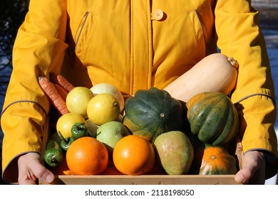 Woman's Hands Holding Wooden Crate With Fresh Organic Vegetables From Farm. Farm Share CSA Box. Winter Produce.