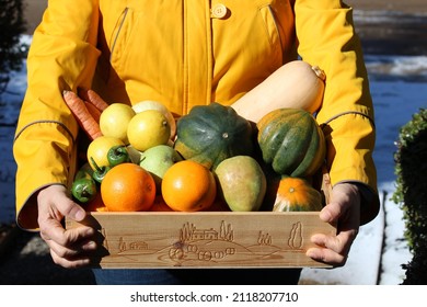 Woman's Hands Holding Wooden Crate With Fresh Organic Vegetables From Farm. Farm Share CSA Box. Winter Produce.