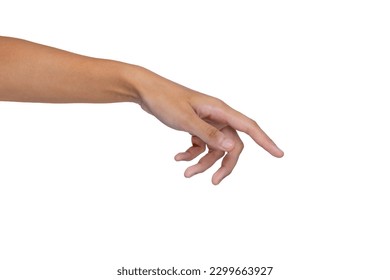 Woman's hands, isolated on white background. Nature. Beauty holding hands.
 - Powered by Shutterstock