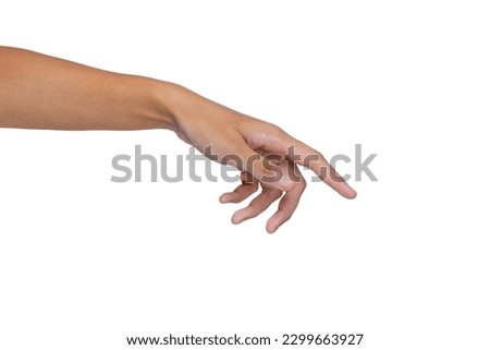 Woman's hands, isolated on white background. Nature. Beauty holding hands.
