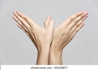 Woman's Hands Makes Bird Shape. Beauty And Fashion.