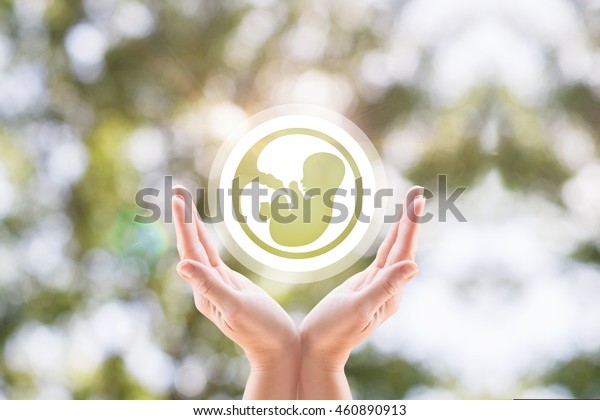The woman\'s hands support the human embryo icon on\
blurred background tree.
