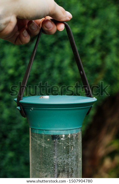 Womans Holding Bird Seed Feeder Garden Stock Photo Edit Now