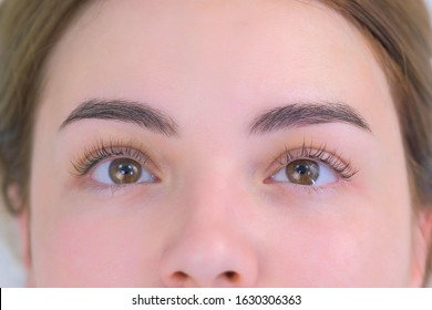 Woman's Lashes After Beauty Procedure Of Eyelash Lifting And Laminating In Beauty Clinic, Eyes Closeup. Young Woman In Cosmetology Clinic With Open Eyes. Lift Of Lash And Eyelash.