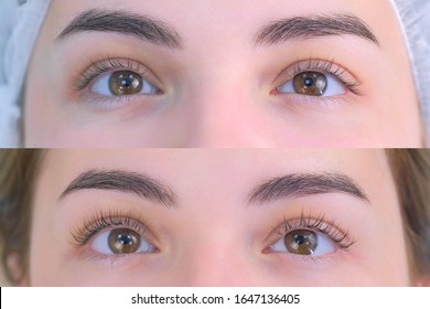 Woman's Lashes After And Before Beauty Procedure Of Eyelash Lifting And Laminating In Beauty Clinic, Eyes Closeup. Young Woman In Cosmetology Clinic With Open Eyes. Lift Of Lash And Eyelash.