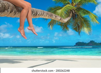 Woman's Legs On A Palm Tree At Tropical Beach Against Ocean